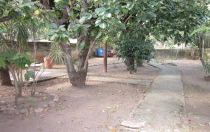 Casa En Venta En La Candelaria El Limón Maracay