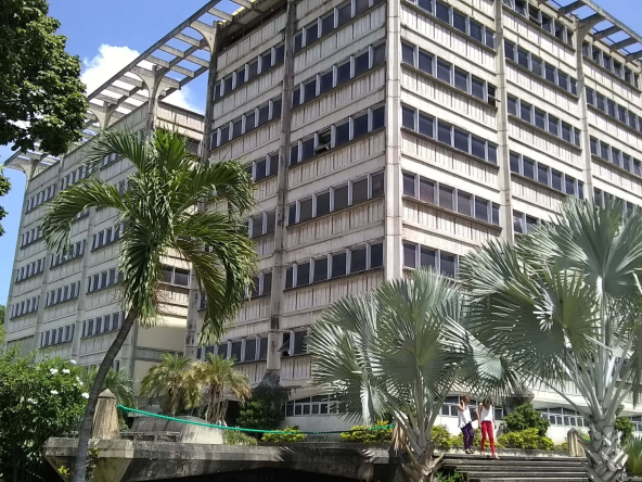 Ficha Catastral en Venezuela: Qué es y Por Qué es Importante www.rapidocasa.com